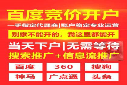 案例对比：不同竞价广告平台的优劣